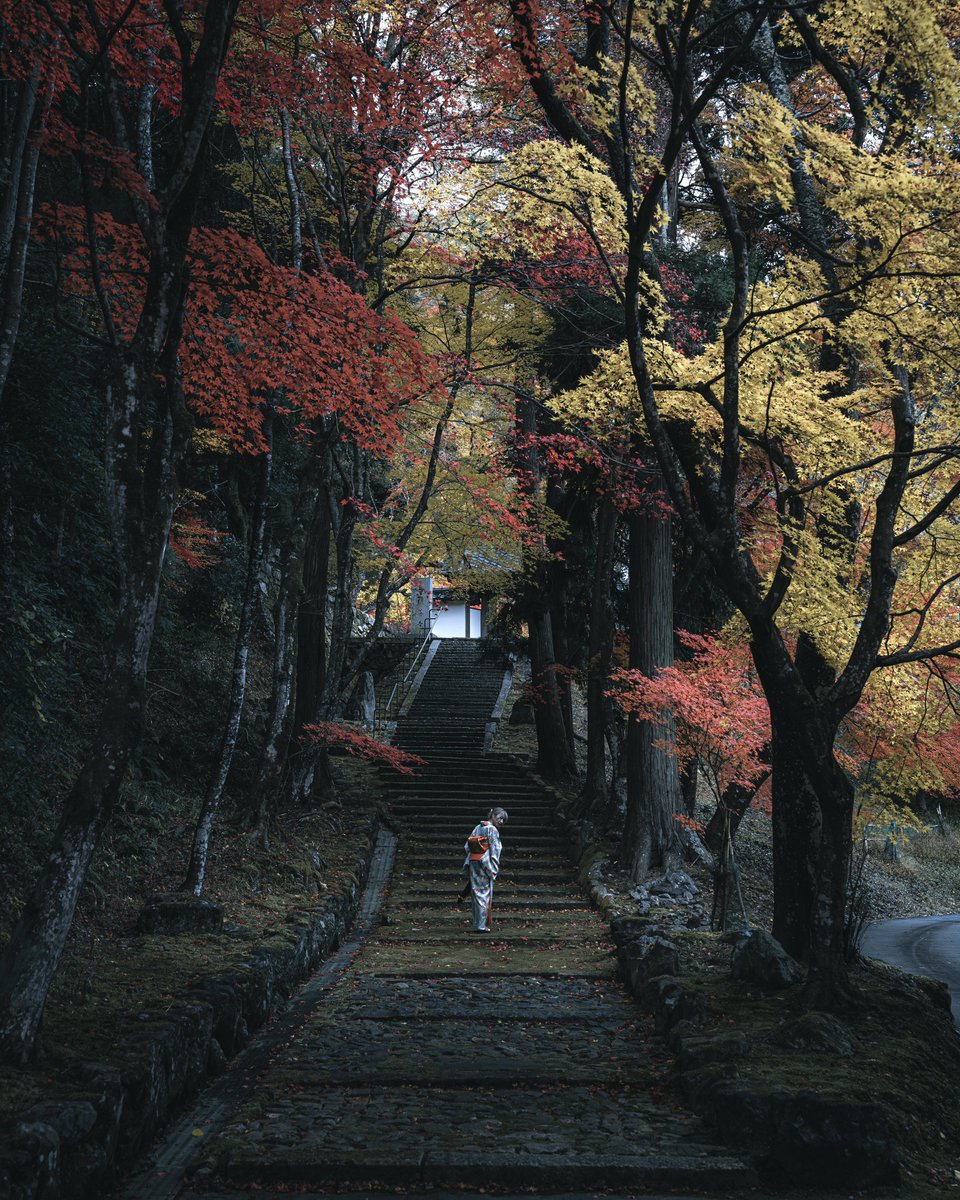 Hisa0808's tweet photo. 幽玄な雰囲気漂う紅葉もいい。 https://t.co/kGauYpEWp8