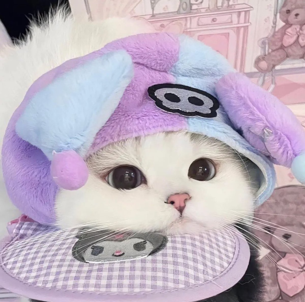 Cats Fantasy tweet media