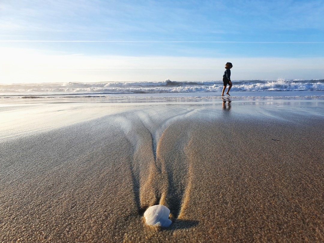 “Quando eu morrer voltarei para buscar Os instantes que não vivi junto do mar“. Sophia de Mello Breyner (Doutora Honoris Causa pela UA) Praia da Costa Nova #Aveiro