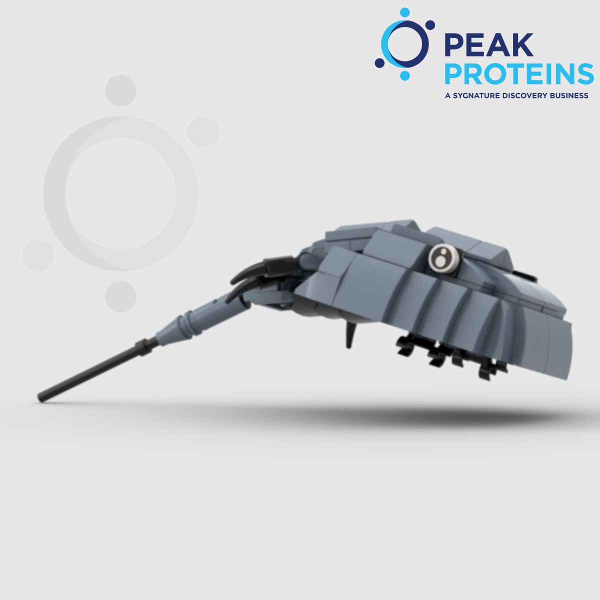 Peak Proteins tweet media