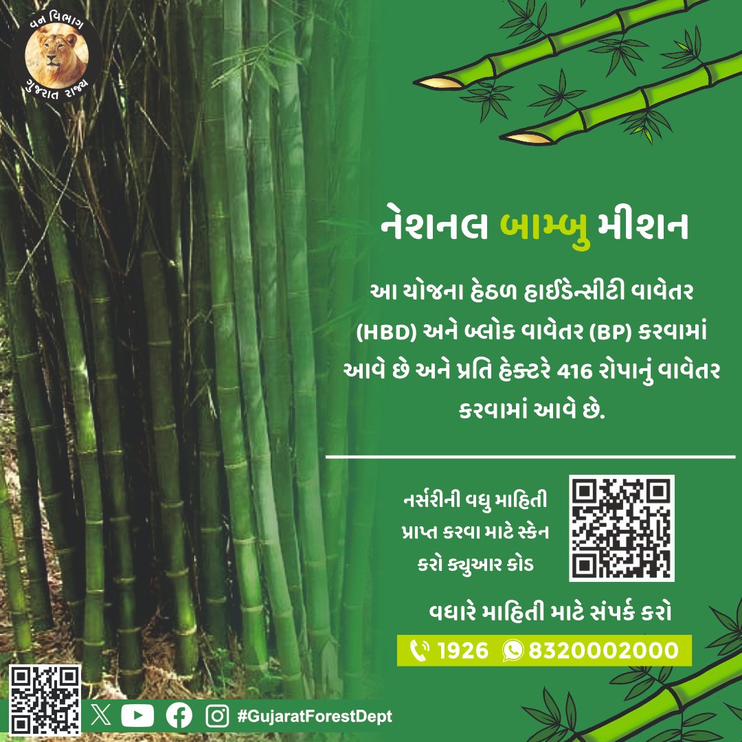 GujForestDept's tweet photo. આ યોજના અંતર્ગત વાંસની ખેતી કરતા ખેડૂતોને નાણાકીય સહાય અને પ્રોત્સાહન આપવામાં આવે છે.

સરકાર દ્વારા ત્રણ વર્ષમાં માલીકીની જમીનનાં વાવેતરમાં ખેડૂતોને રોપા દીઠ રૂ. ૧૨૦ સરકારી સહાય આપવામાં આવે છે. 
#BambooMission
#GreenRevolution
#BambooConservation
#SustainableForestry
#BambooSustainability