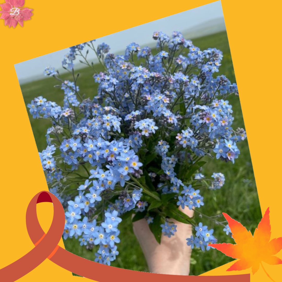 orphicmoonlight's tweet photo. 𓂃𝘽𝙇𝙊𝙎𝙎𝙊𝙈𝙐𝘾𝙃 DELIVERY .ᐟ dear @Avxns_ , you have received a flower.

note: Happy birthday, my universe. I love you.

— Yours truly. 
⠀⠀⠀⠀⠀⠀⠀⠀⠀⠀⠀⠀⠀ 𔓘 Blossomuch ⠀⠀ https://t.co/2pFCKMog5E