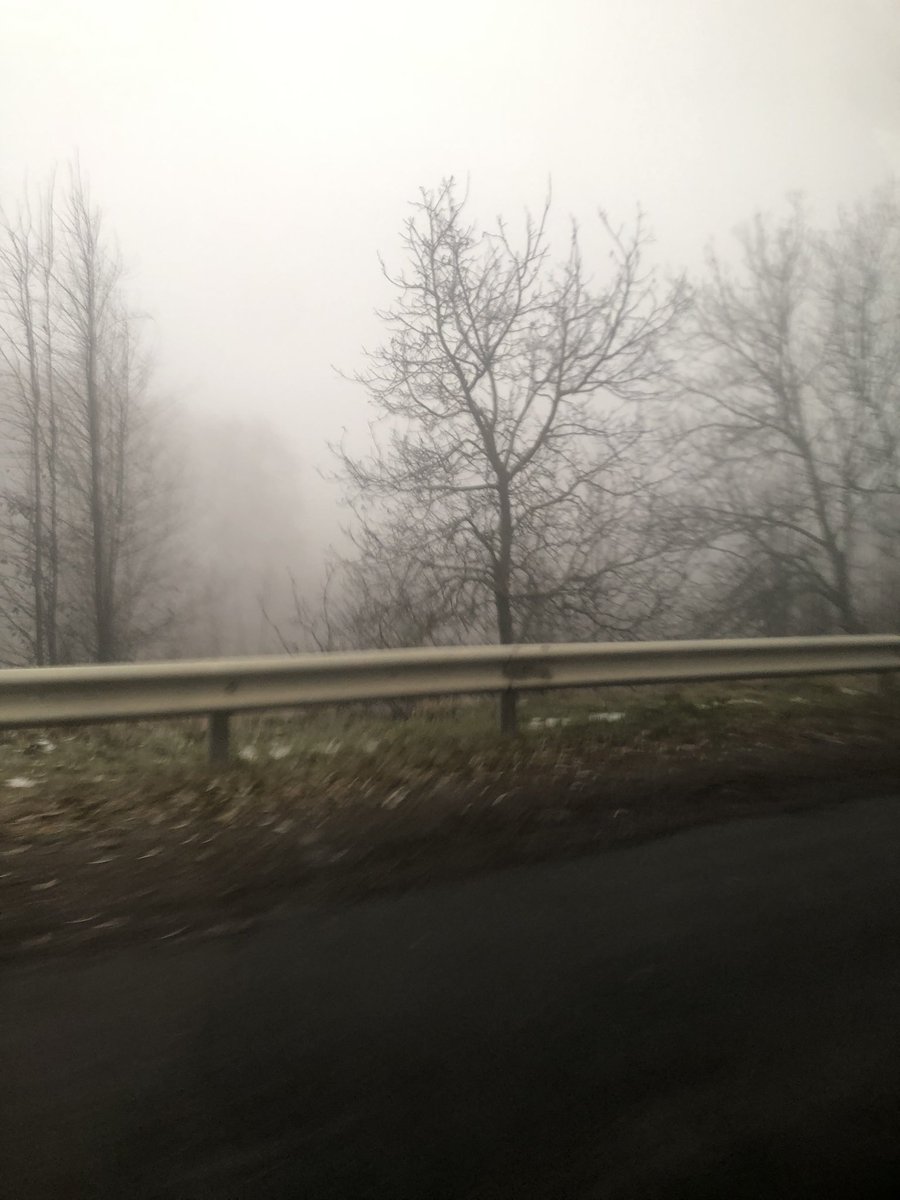 nuwsiem's tweet photo. єбучій сайлент гіл https://t.co/XrWCfQccV6