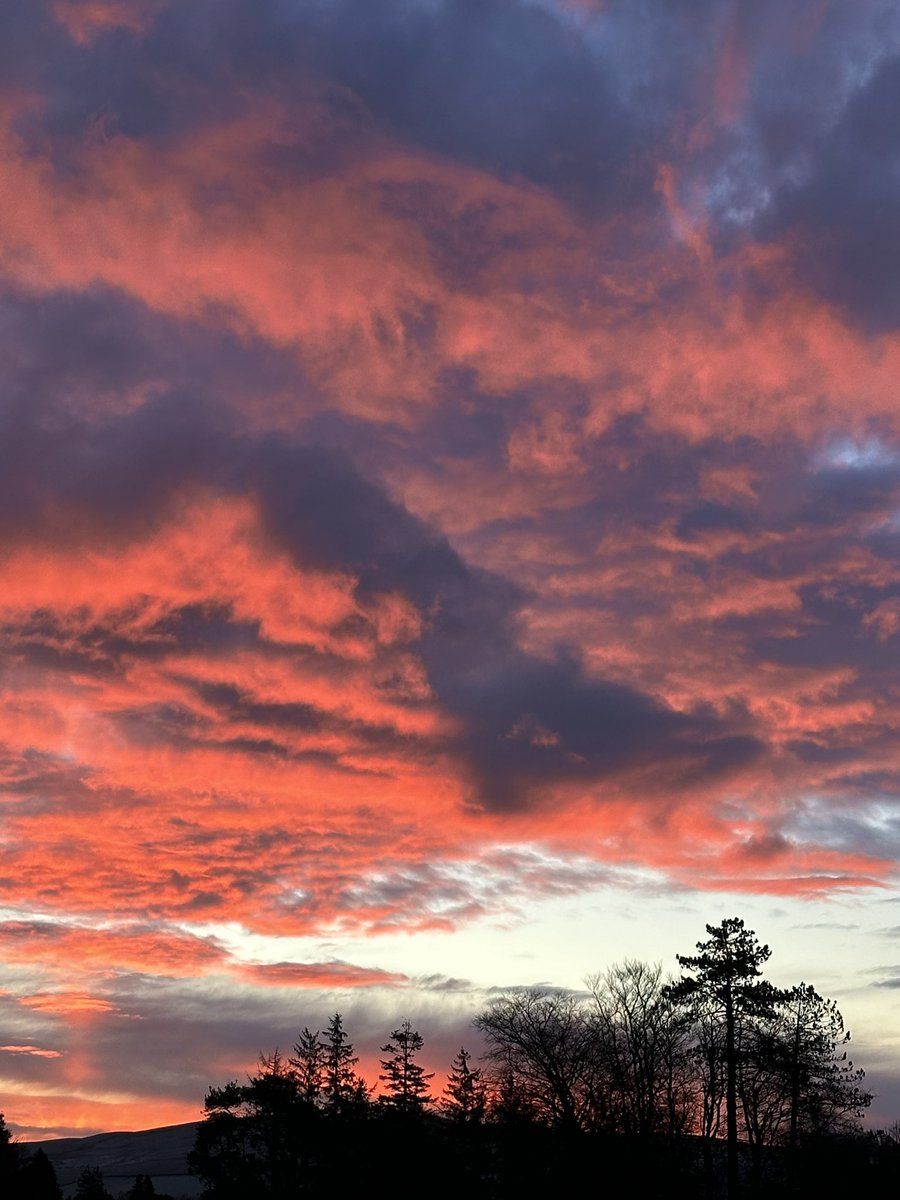 ciaranmonaghan's tweet photo. Morning https://t.co/6pLZZU9eEg