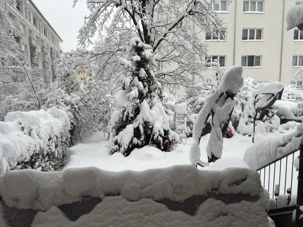 Ordust's tweet image. Mein Garten ist weg, was ist passiert 😳