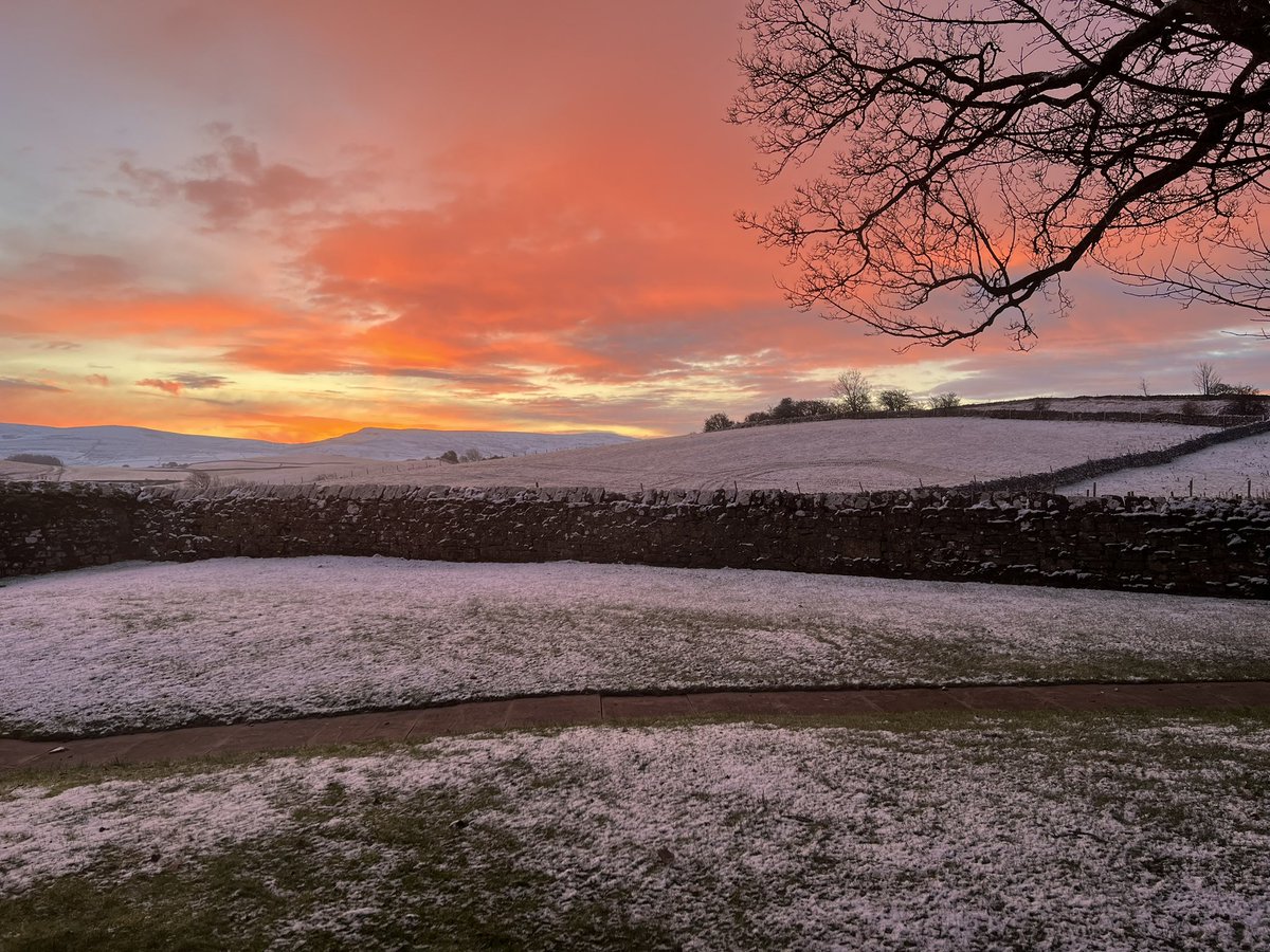 WaitbySchool's tweet photo. Good morning! (Photo taken through window because I’m NOT going out there in my PJs 🥶) https://t.co/rz4aOGalIT