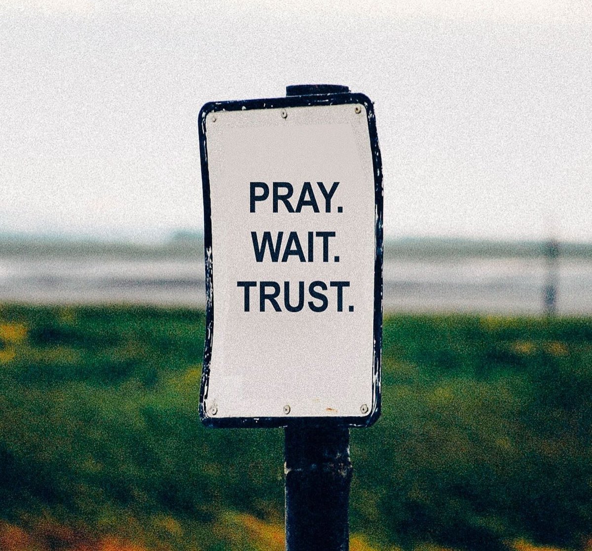 Art of Life 🦋 (@art0flife_) on Twitter photo 