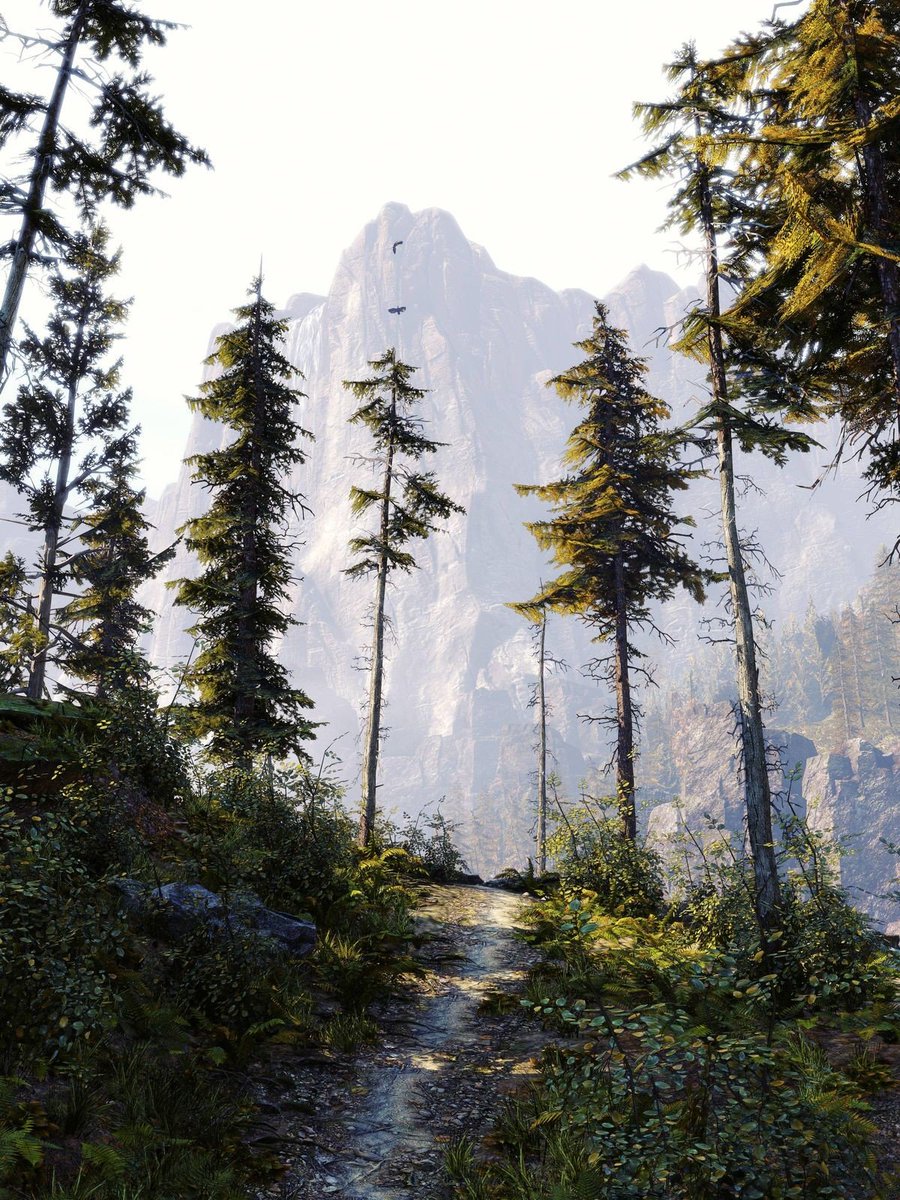 RtEnPassant's tweet image. 