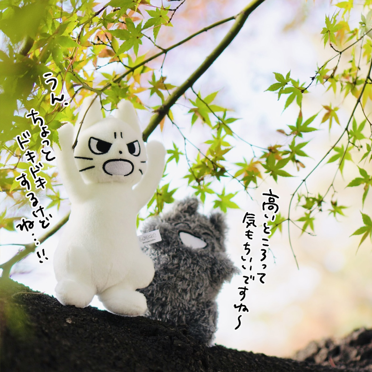 しかるねこ on X: しかるねこ on X: