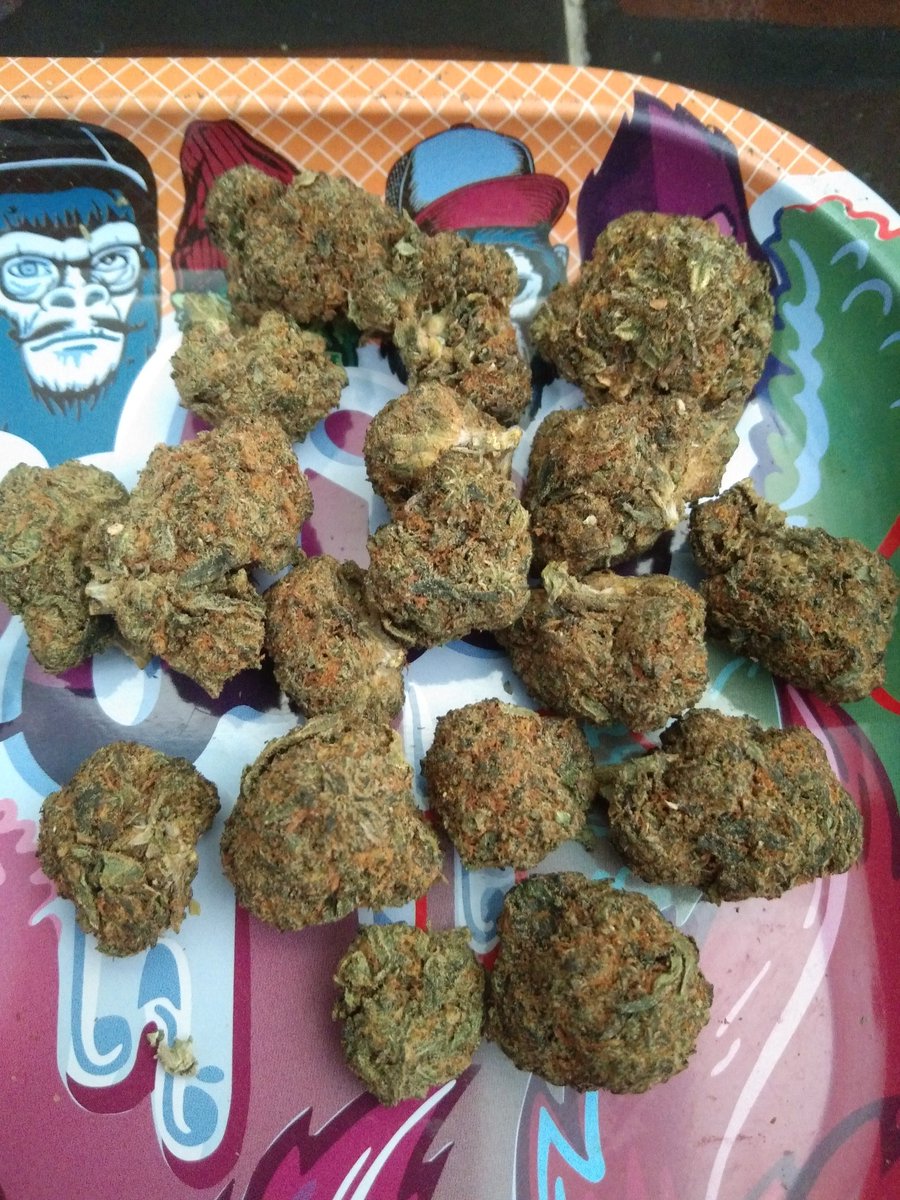 OutbackAnd's tweet image. I keep hearing good things about Apple Fritter so thought I'd give it a shot ,💨💨💨