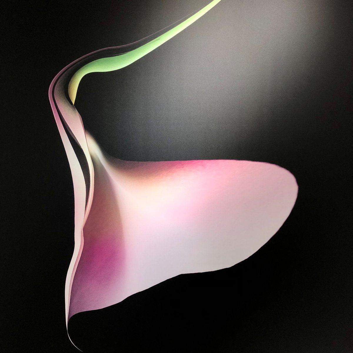 港区西麻布
Miaki Gallery

Just a Thin Truth
2023年11月11日ー12月9日

プロスノーボーダー / ファッションバイヤー / 骨董商の経歴を持つ、写真を主なミディアムとした現代アーティスト。

#MUGA
#MiakiGallery
#Tokyo
#現代アート
#ContemporaryArt
#Photography