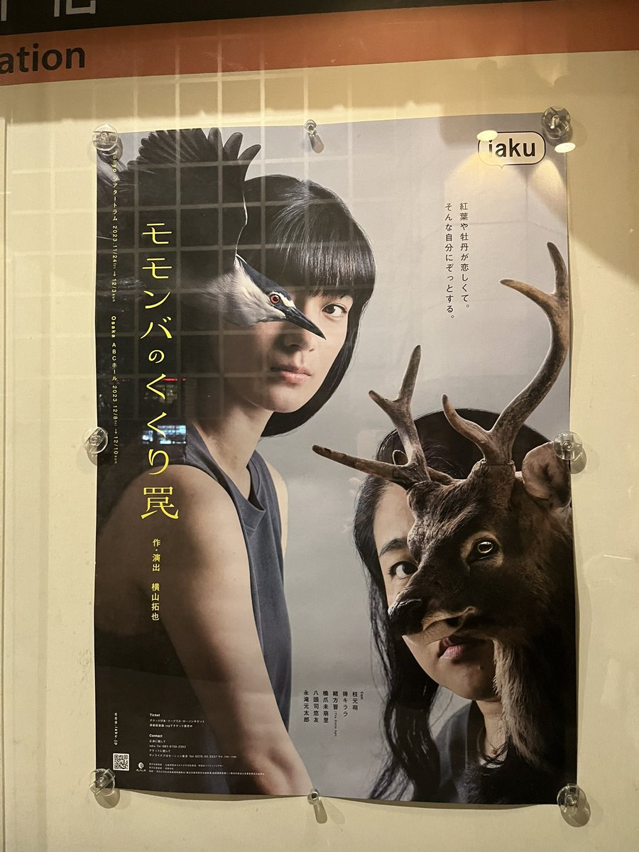 arotimon's tweet photo. 『モモンバのくくり罠』を観ました、南房総の猟師さんと一緒に。狩猟生活にハマった母に育てられた娘と、その家族を巡る物語。
なんかもう胸が詰まった。うちの子らも二拠点生活に反発してた時期があったから。105分の作品が45分くらいに感じるほど没入する作品で、田舎暮らしする親にはおすすめすぎる https://t.co/dWNUuM9E92