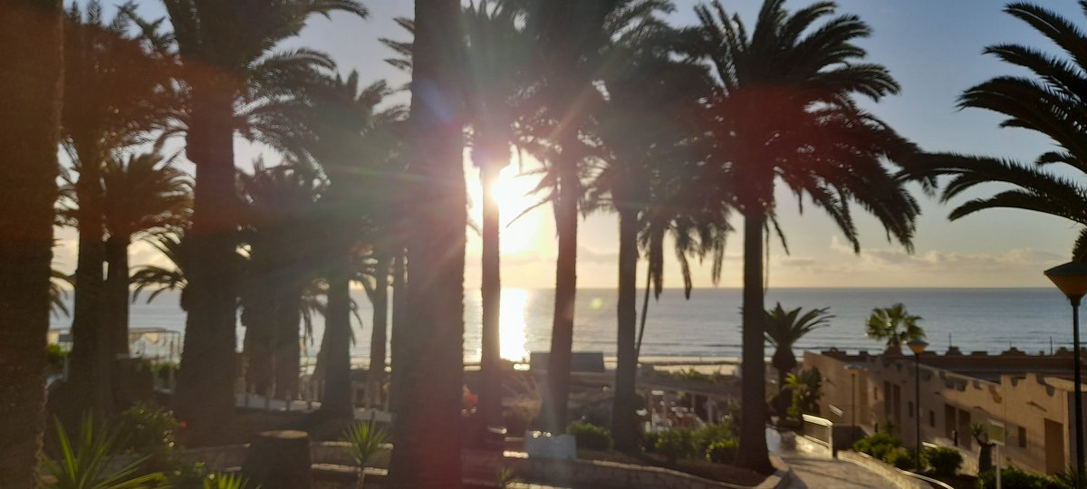 HaraldKreijns's tweet image. #MatchDay voor;
@RKSVNEO O23-1 tegen @wsv_voetbal O23-1, voor beide teams staat er nog veel op het spel.
Vandaag geen #livescore, succes @O23Neo 
#WSV goede reis gewenst naar #Borne