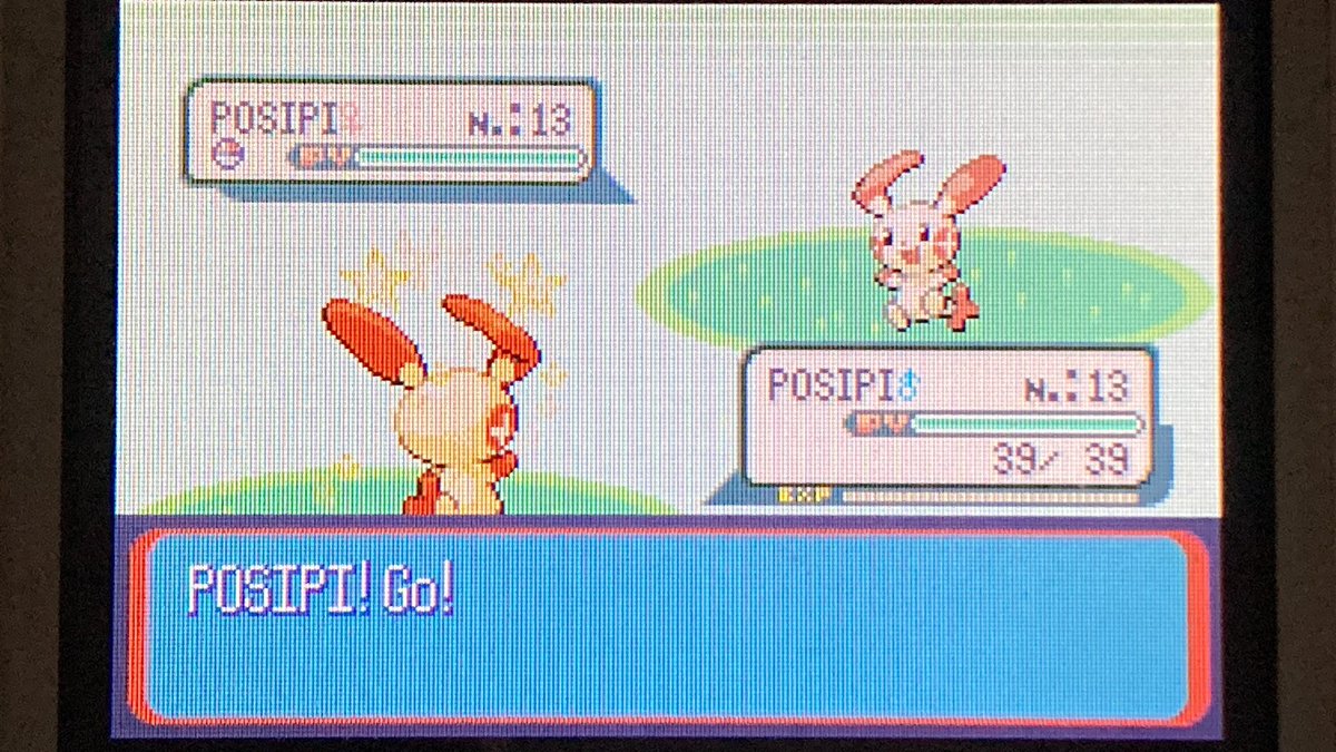 [221✨] Après plus de 4 ans encore une chasse qu’il fallait terminer, 6ème phase pour ce magnifique Posipi à 36,59% il est incroyable ! 
#shinypokemon #shiny