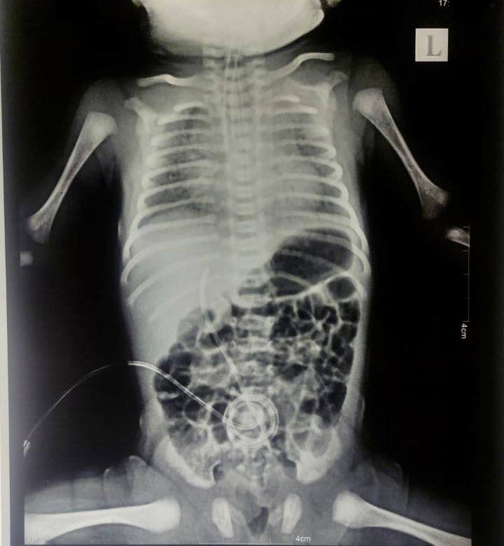 Robin Monotti tweet media