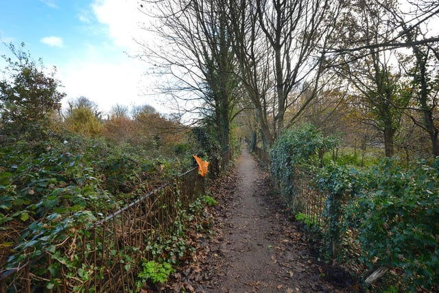 ReforestB's tweet photo. An ancient woodland in Hastings is under threat by a proposal to build up to 140 new homes on it

Local residents are setting up a 'Save Sandrock Bends' campaign group to fight the development

https://t.co/KVENsG1P1s https://t.co/y0BLPYIfdc