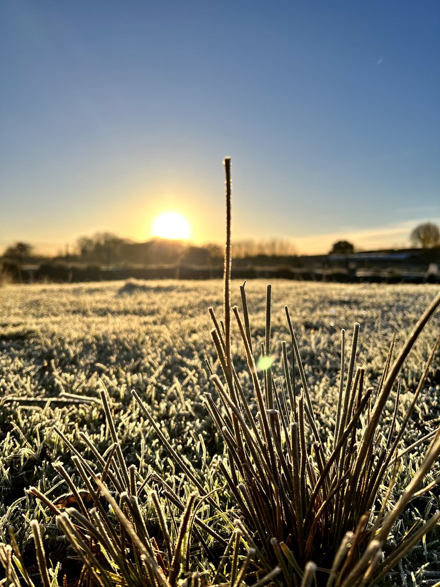 FishFarmEA's tweet photo. Wrap up warm if you are off fishing this weekend 🥶
#fishing #frosty #sunrise #coldbutfun https://t.co/r1uUMMPCNH