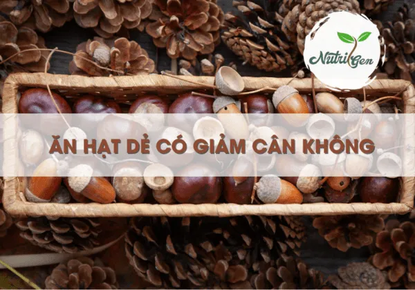 nutrigenvn's tweet photo. ‼THỰC HƯ ĂN HẠT DẺ: BÍ MẬT ĐẰNG SAU VÓC DÁNG HOÀN HẢO  
🍿 Món ăn vặt "hot" - hạt dẻ, đã khiến bao nhiêu chị em mê mẩn. Nhưng câu hỏi quan trọng là "Ăn hạt dẻ có béo không?" Để giải đáp điều này tham khảo ngay tại: 👉https://t.co/TuQ93cRsLb https://t.co/qw0904MEm7