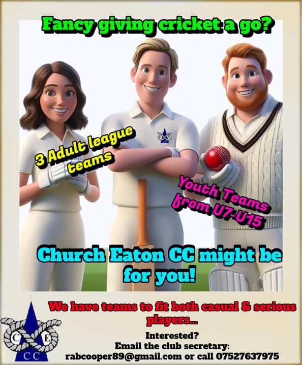 No Boundaries Cricket Club CIC tweet media