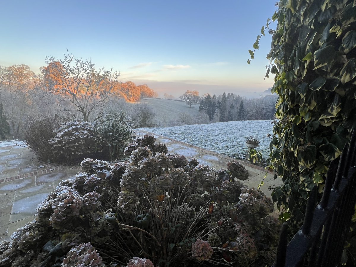 Matrix Capital tweet media