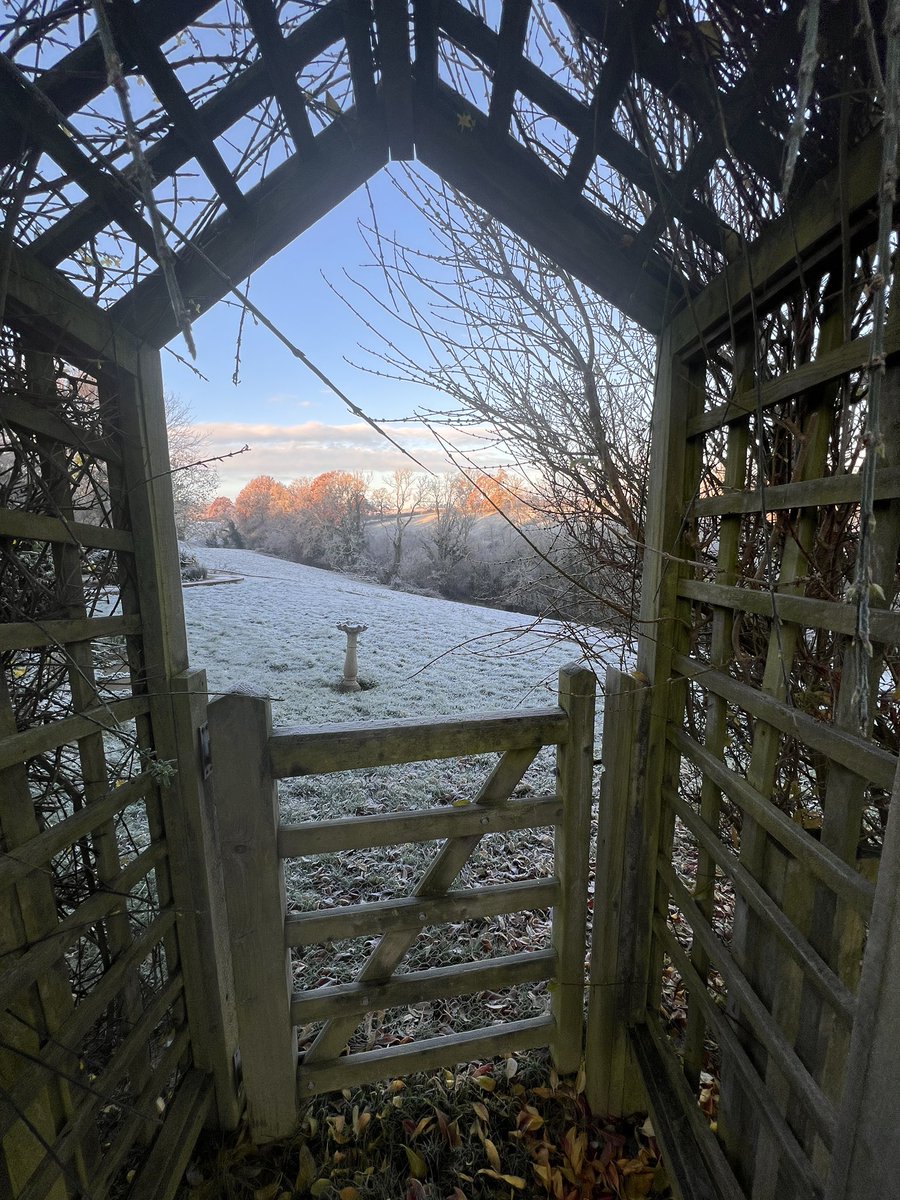 Matrix Capital tweet media