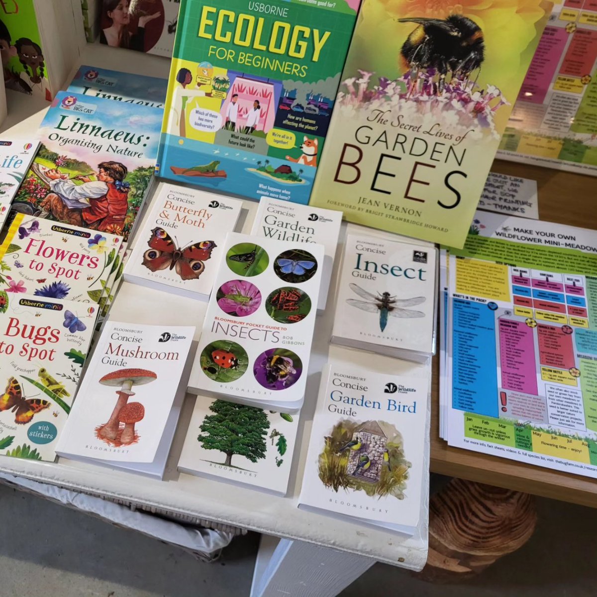 thebugfarmUK's tweet photo. Gift shop open for Christmas shopping 10:30am-12:30pm today. Do come and support us on #SmallBusinessSaturday! #ShopLocal #CricketCookies @bugfarmfoods #StDavids #Pembrokeshire #TheBugFarm https://t.co/PP5lfCMhhY