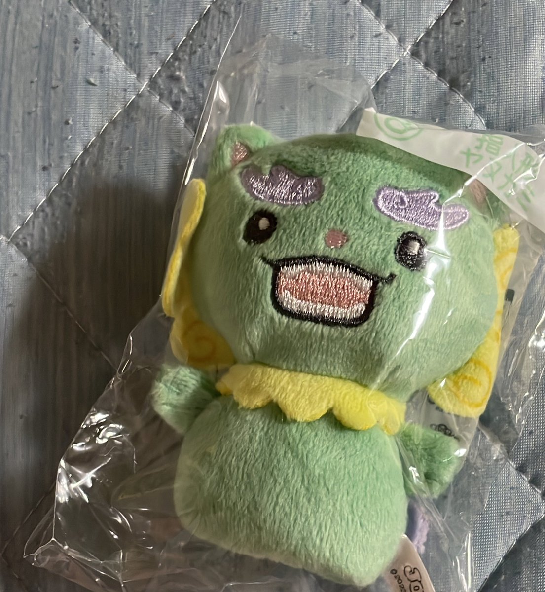 ちゅん🐤 tweet media