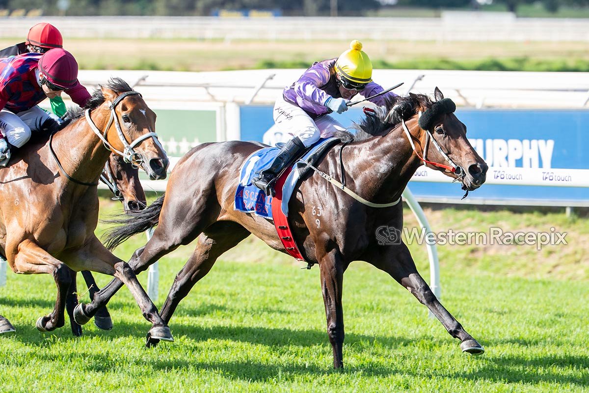 WesternRacepix's tweet image. BABY PARIS - 2023 Ascend Trophies Jungle Dawn Classic (Listed) @PerthRacing #WesternRacepix #ThePinnacles #WinterbottomStakesDay

More  📸 westernracepix.com