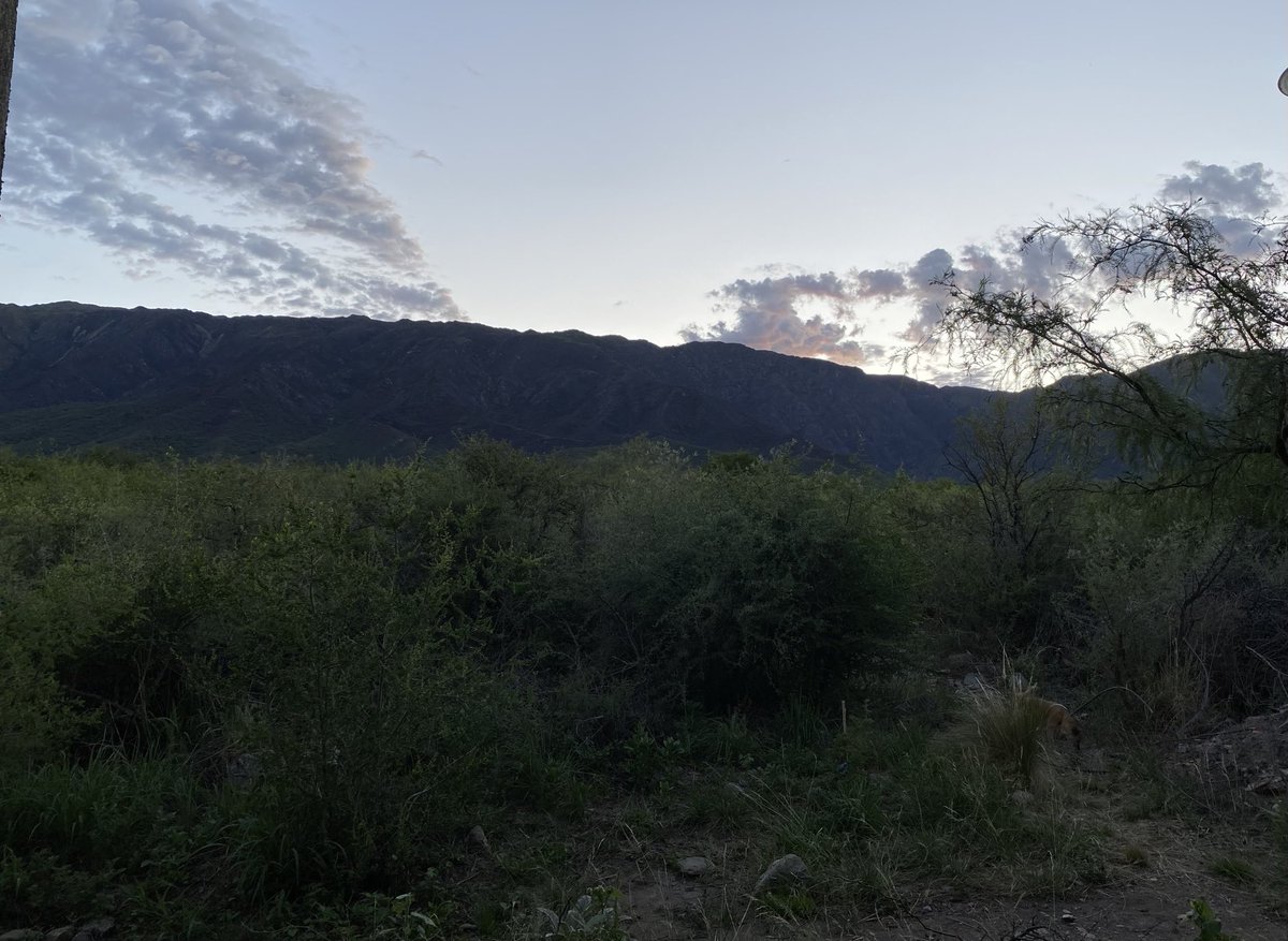 PLPtwit's tweet image. ⁦@Vivoelsabado⁩ Amaneciendo en Los Molles - San Luis