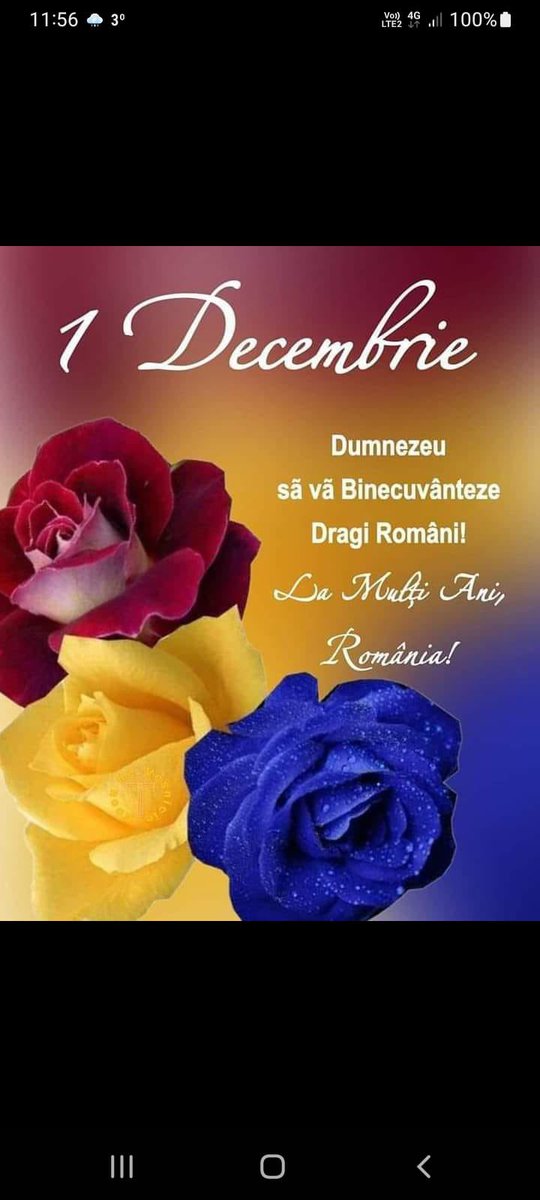Cosmina76's tweet photo. La muți ani România 🇷🇴 #nationalday #romania https://t.co/0ErRJbJVBv