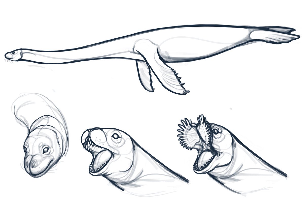 CamioDraws's tweet photo. Okey so this was a commission for a sea creature and they wanted to have a more scary design so... weird mouth it is! https://t.co/kzdmVWQM1w