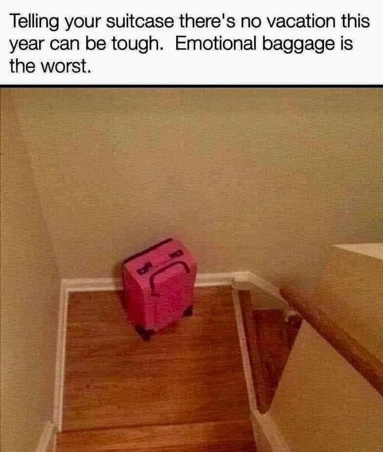 Burden of being home. 🧳 imgur.com/gallery/fkp3BbF