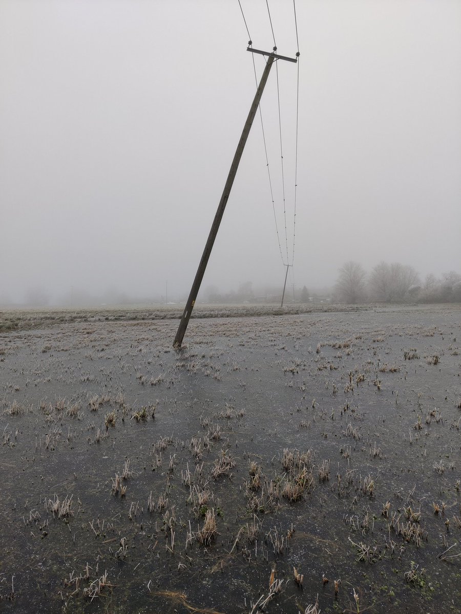 Neil Featherstone tweet media