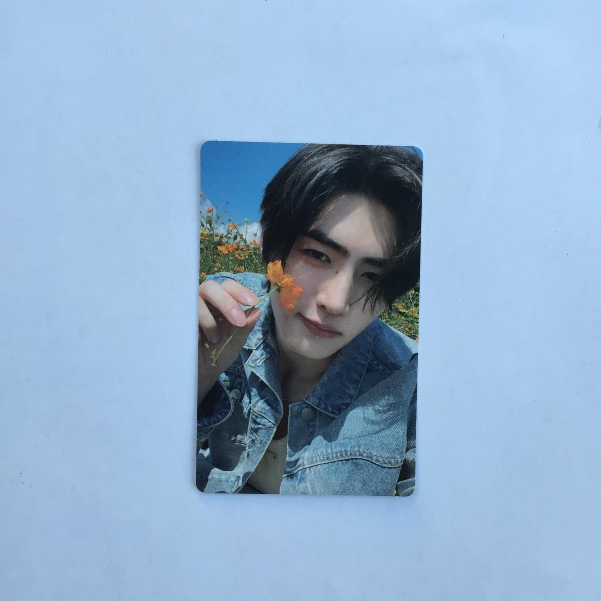 0209collect_'s tweet photo. wts ! lfb!

    # enhypen orange blood weverse ver pc — jake type A &amp; sunghoon type B 
◞♡๑ 200 ea + 0 pf
◞♡๑  onhand
◞♡๑ payo / 2 days reserv
◞♡๑ freshly pulls

dm me or reply mine to claim !

t. wts lfb enhypen orange blood weverse  pc photocard . . . https://t.co/PKnekvhAiZ