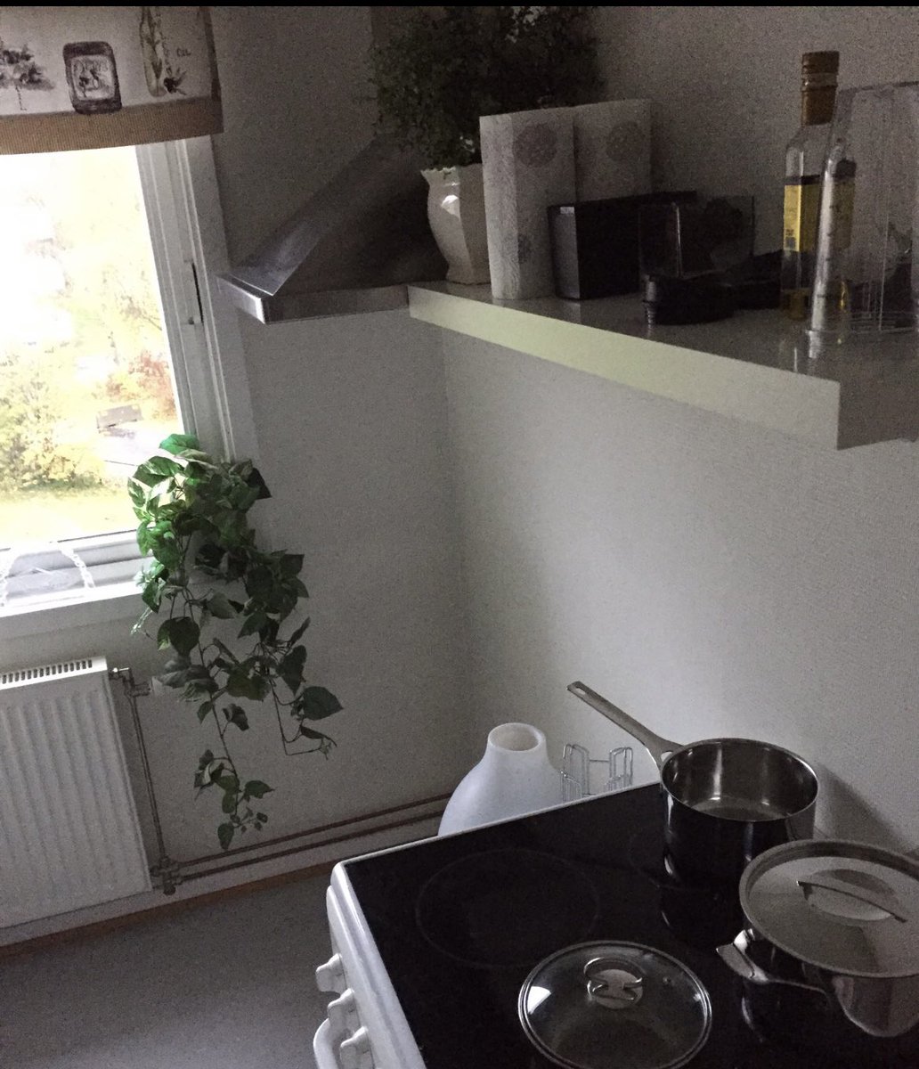 Wegard Bakkehaug tweet media