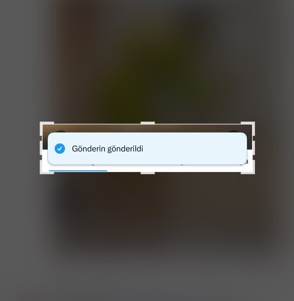 “Gönderin gönderildi” ne demek yaaashsjdjdf. KPSS LGS YKS AYT BKS PSR derken yolun ucu nereye çıktı… #cumartesi