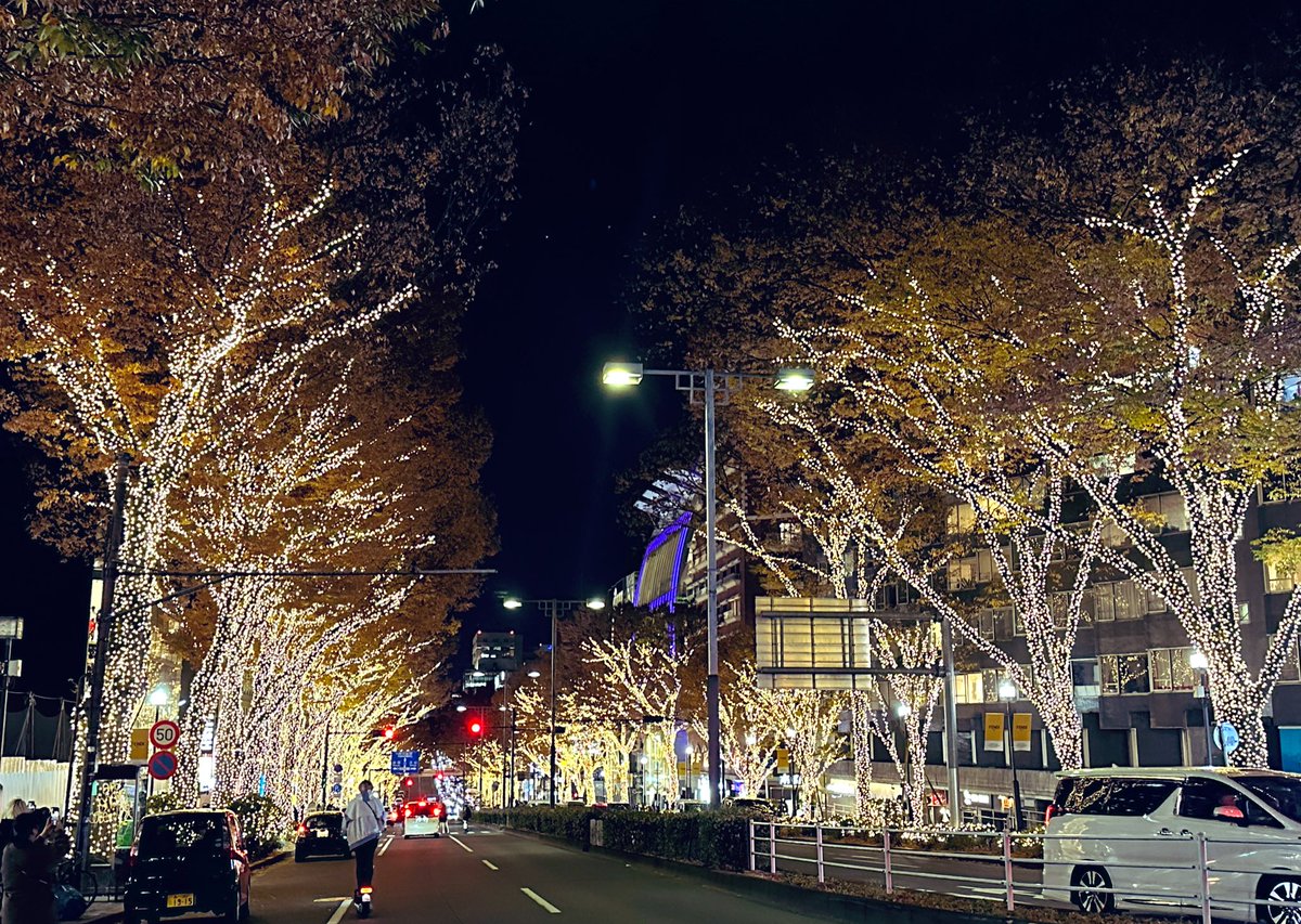 sauna_ao's tweet photo. たしかに今日の方がイルミネーションにふさわしい寒さ #表参道イルミネーション https://t.co/k0FNx7RP1S
