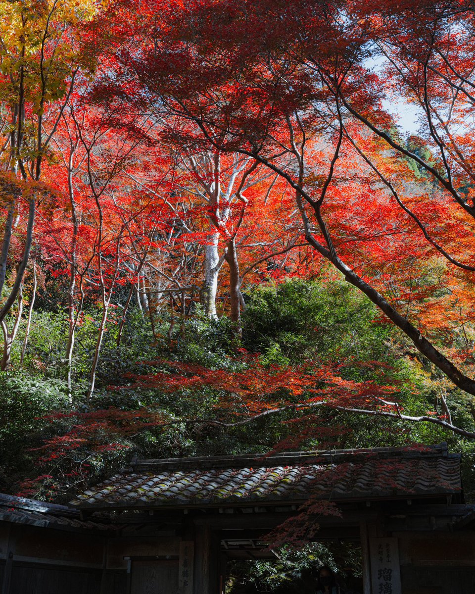 Autumn in serenity