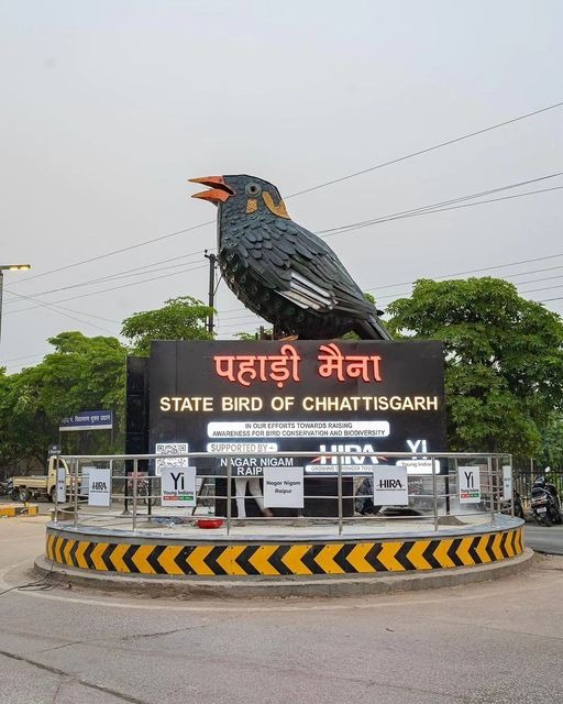 AtalShrivastav's tweet photo. राजधानी रइपुर के नगर निगम गार्डन मेर स्थापित हमर छत्तीसगढ़ के राजकीय पक्षी पहाड़ी मैना ह जम्मो छत्तीसगढ़िया मन के शान बढ़ावत हे।
ए सुघ्घर प्रतिमा के सामने ले जेन भी नहकथे बड़ गरब महसूस करथे।
जय छत्तीसगढ़ महतारी!
@INCChhattisgarh https://t.co/XzS357B7av
