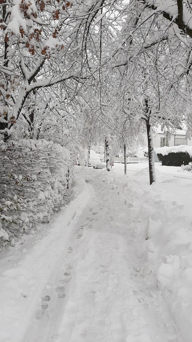 Halbe Meter Schnee geknackt aktuell in München! #winter #münchen #winter #Bayern @WeermanRoel @Alpenweerman @WeermanMichael @HVweerNL @unwetterfreaks