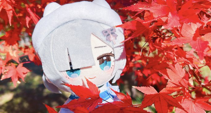 「bow maple leaf」 illustration images(Latest)