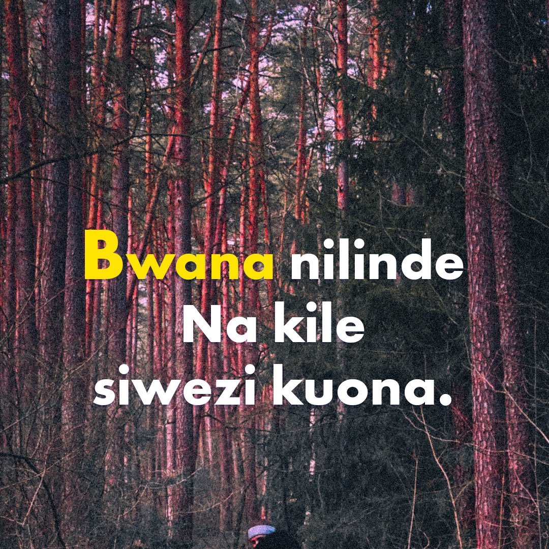 nicebower's tweet image. 