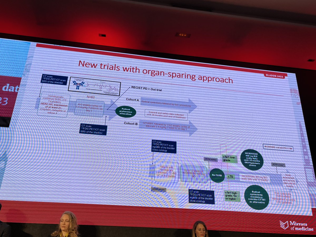 Petros Grivas (@pgrivasmdphd) on Twitter photo Stellar talk by <a href="/DanieleRaggi83/">Daniele Raggi</a> covering opportunities for drug development in MIBC with (neo)adjuvant strategies & need for composite biomarkers! Many Impressive trials in his center! <a href="/OncoAlert/">OncoAlert</a> <a href="/AndreaNecchi/">Andrea Necchi</a> #BLADDR23 <a href="/SanRaffaeleMI/">Ospedale San Raffaele</a> <a href="/AlessiaCim/">Alessia Cimadamore</a> <a href="/achoud72/">Prof Ananya๐ @achoud72.bsky.social</a> <a href="/koshkin85/">Vadim Koshkin MD</a> <a href="/mirrorsmed/">Mirrors of Medicine</a> Stellar talk by <a href="/DanieleRaggi83/">Daniele Raggi</a> covering opportunities for drug development in MIBC with (neo)adjuvant strategies & need for composite biomarkers! Many Impressive trials in his center! <a href="/OncoAlert/">OncoAlert</a> <a href="/AndreaNecchi/">Andrea Necchi</a> #BLADDR23 <a href="/SanRaffaeleMI/">Ospedale San Raffaele</a> <a href="/AlessiaCim/">Alessia Cimadamore</a> <a href="/achoud72/">Prof Ananya๐ @achoud72.bsky.social</a> <a href="/koshkin85/">Vadim Koshkin MD</a> <a href="/mirrorsmed/">Mirrors of Medicine</a>