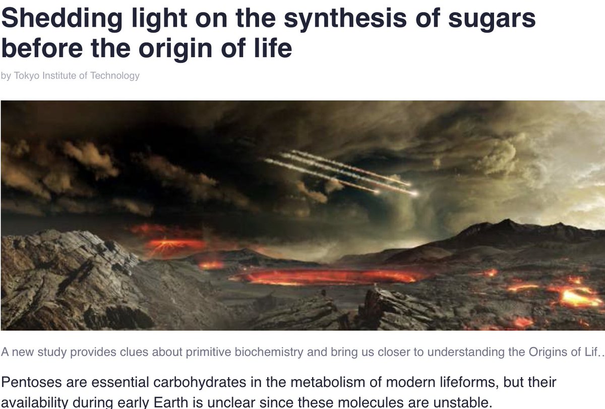 gencetheory's tweet image. #ClimateAction,#wilfredosantagomezmd,#lifeorigin, wilfredosantagoblog.wordpress.com/2023/12/02/she…