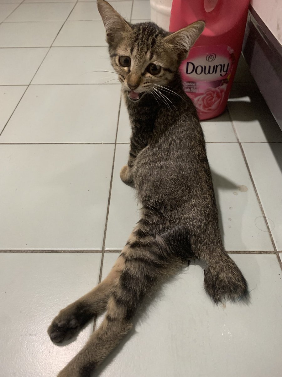 sya1qahh's tweet photo. If you wondering where Arjuna right now….

Before.                         Now. https://t.co/dnyJotIIWC