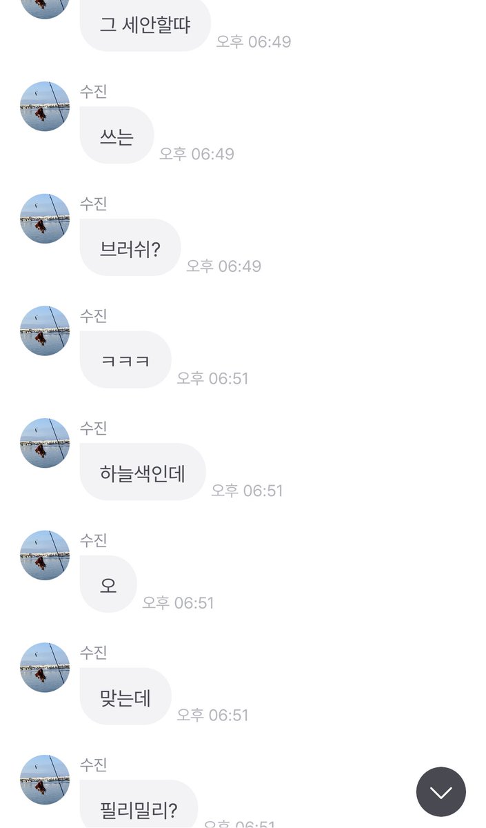 수지니 추천 세안 브러시 이거 같은데
