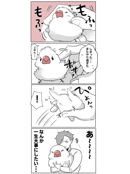 既出ネタだけど可愛すぎるから何回でも描く #文鳥 