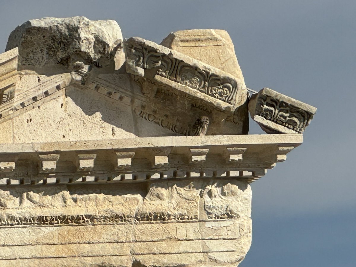 Celal Şimşek tweet media