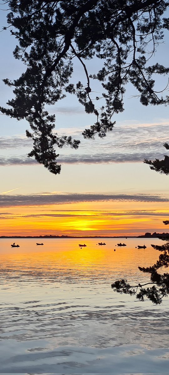 Golfe du Morbihan (plein écran vertical) Bretagne