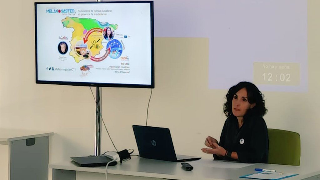 LCATMon's tweet photo. Nuestra compañera científica ciudadana Zahara Alonso del CEIP Ramon y Cajal de #PinadeEbro a las  @jornadasDmasI compartiendo su participación en #TrackTheFly #melanogasterCTF @LCATMon @GonzalezLab_BCN @FECYT_Ciencia @jornadasDmasI https://t.co/SK0a2wtO6h